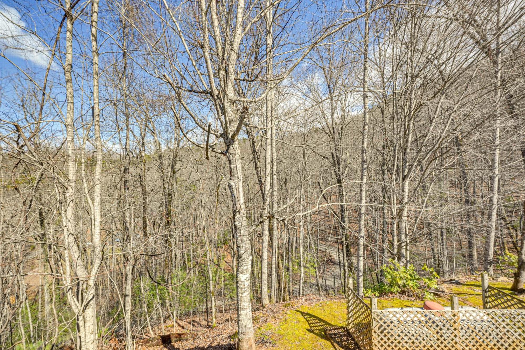 Bryson City Cabin With Hot Tub, Views And Pool Table! Exterior foto